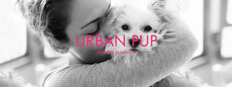 Urban Pup