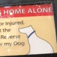 What a great idea! 'My Dog/Pet is home alone' card!
