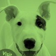 Time to say goodbye to our old website!