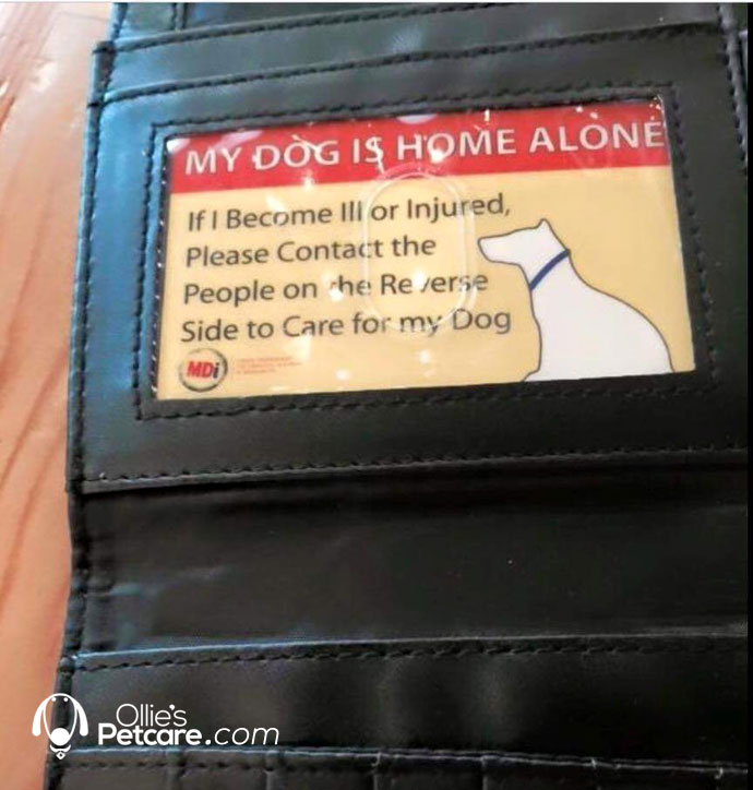 Dog Card Left Home Alone