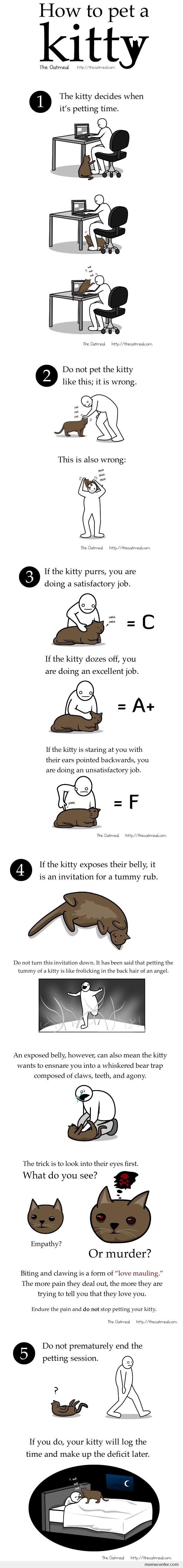How To Pet A Kitty - By Oatmeal