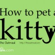 How to Pet a Kitty