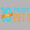 Top 10 Most Dangerous Pet Parasites!