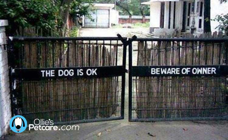 Hilarious Beware the Dog signs
