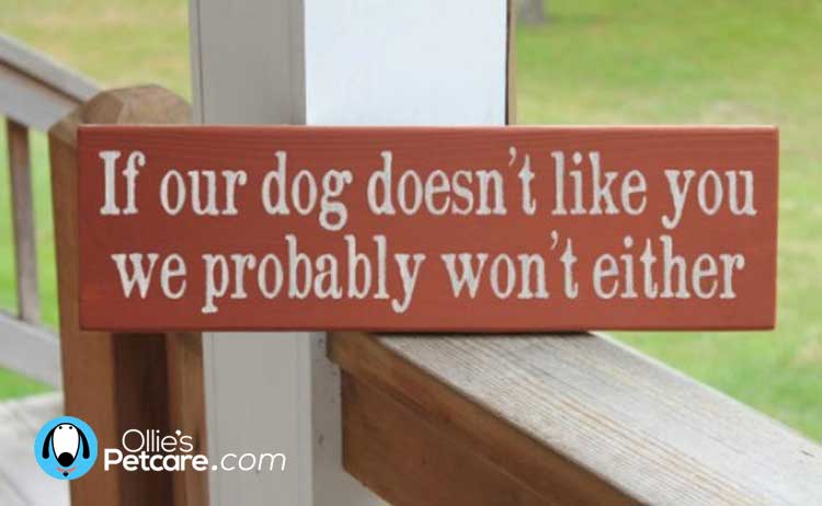 Hilarious Beware the Dog signs