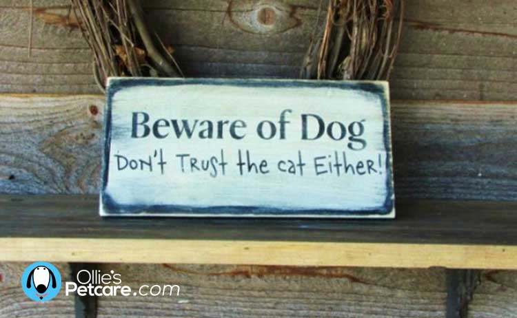 Hilarious Beware the Dog signs