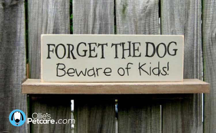 Hilarious Beware the Dog signs