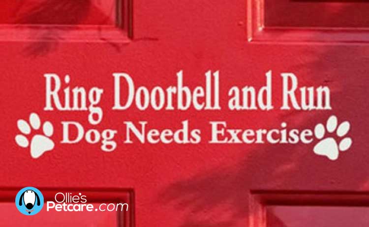 Hilarious Beware the Dog signs