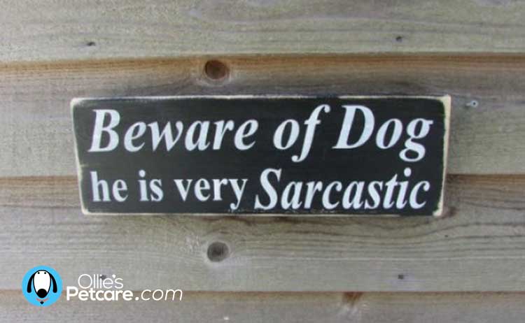 Hilarious Beware the Dog signs