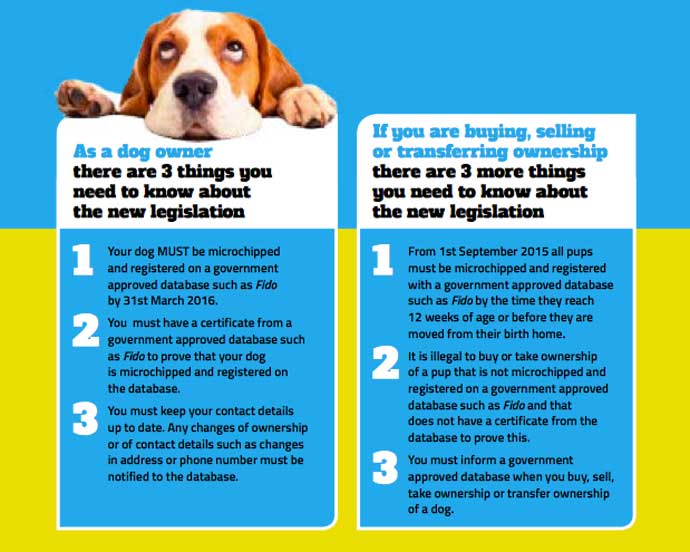 Fido - New Irish Law on Microchipping your dog