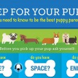 Prep For Your Pup - some points to think about!