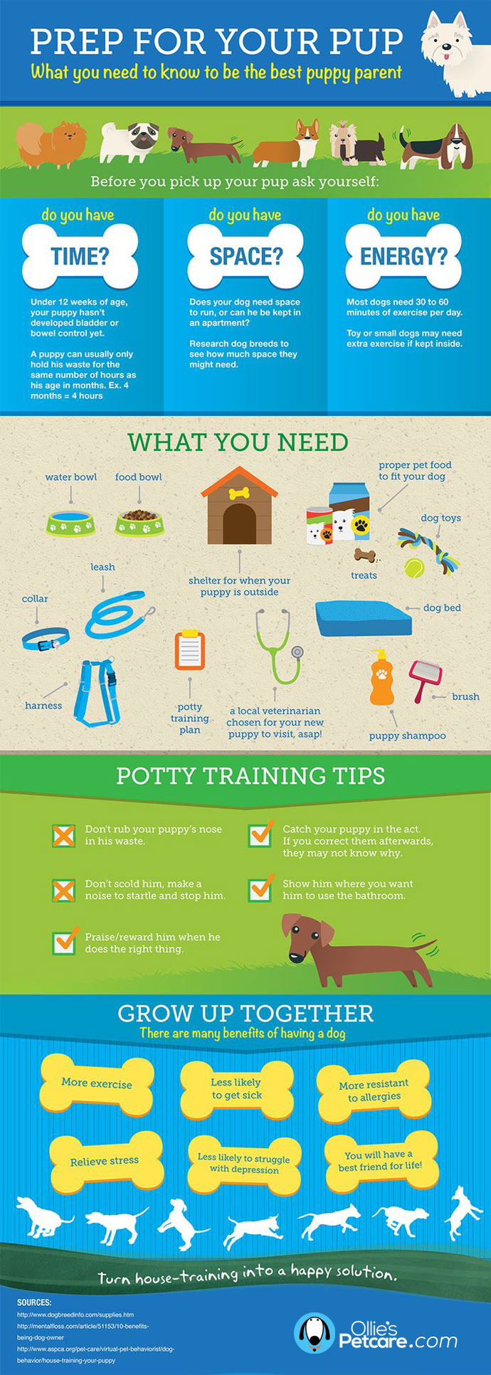 Prep For Your Pup - Tips to think about before getting a dog!