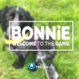Bonnie - Welcome to the Gang!