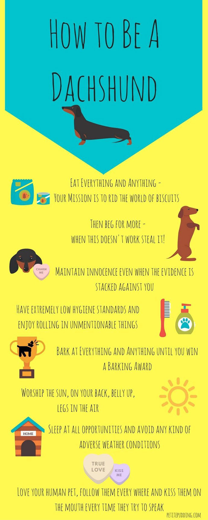 How To Be A Dachshund - Ollie's Petcare - Ireland