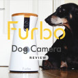 Furbo Dog Camera Review + Black Friday Discount Code!*
