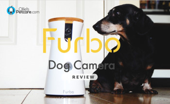 Furbo Dog Camera Review + Black Friday Discount Code!*