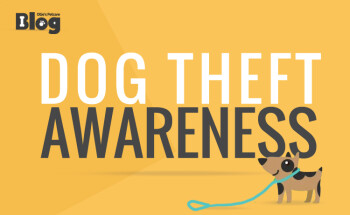 Dog Theft Awareness 2020 - Ollie's Petcare | Ireland