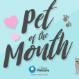 Pet of the Month is back!