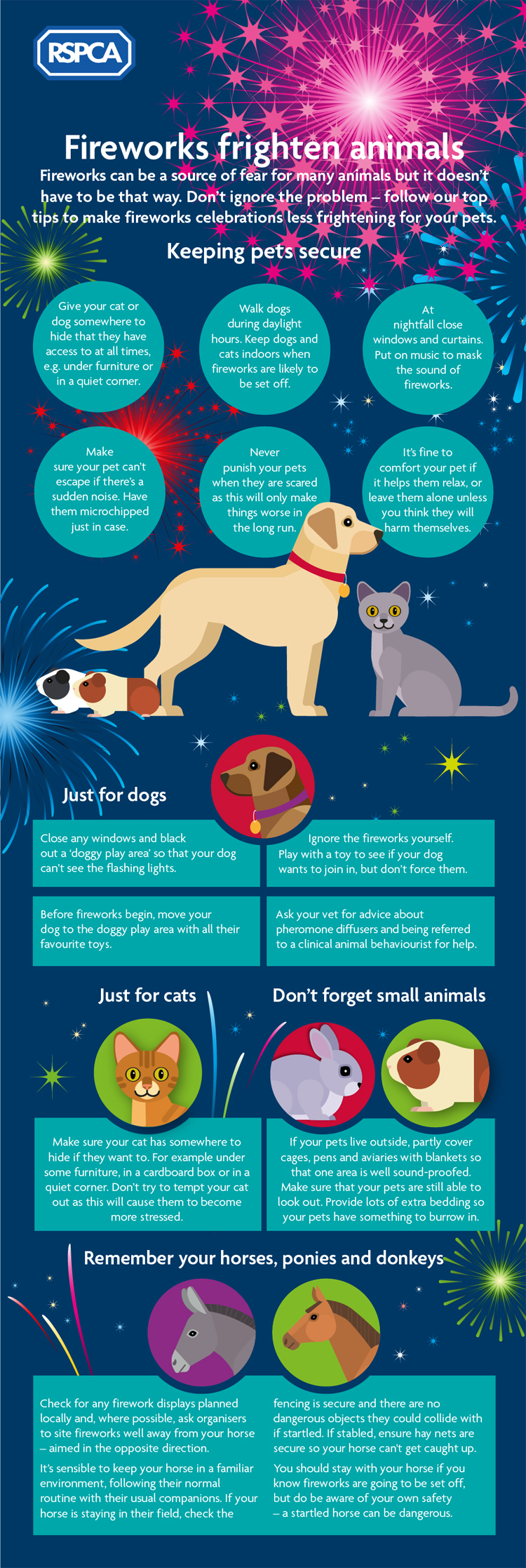 Tips to keep your pets safe during October & Halloween! - Ollie's Petcare Blog