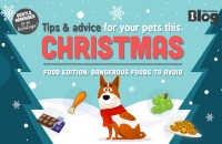 Tips & Advice for your pets this Christmas: Dangerous Food Edition!