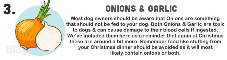 Tips & Advice for your pets this Christmas: Food Edition!