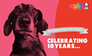 Celebrating 10 Years - Ollie's Petcare
