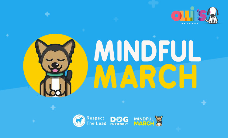 Mindful March - I'm on a lead because... - Ollie's Petcare - Ireland