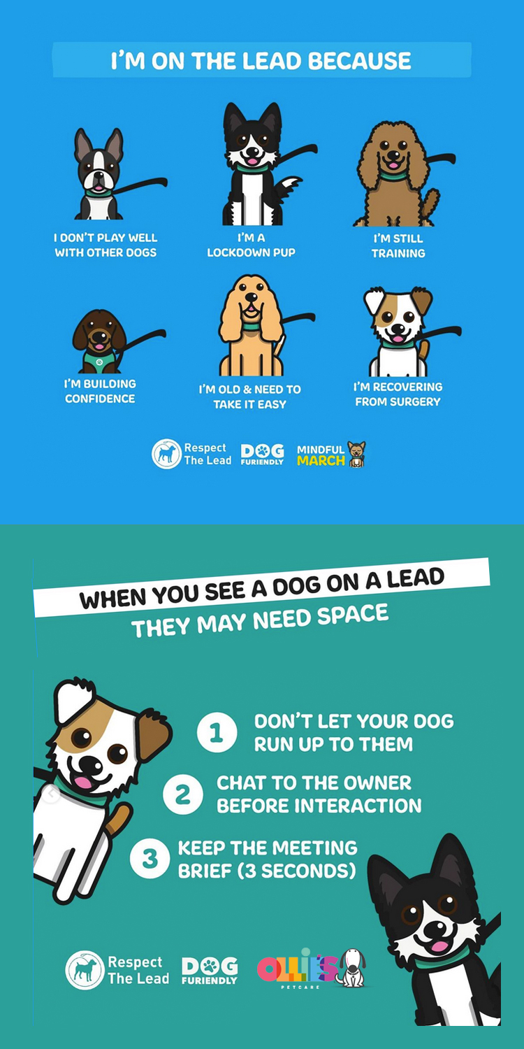 Mindful March - I'm on a lead because... - Ollie's Petcare - Ireland